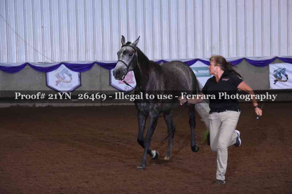 Proof 21YN_26469