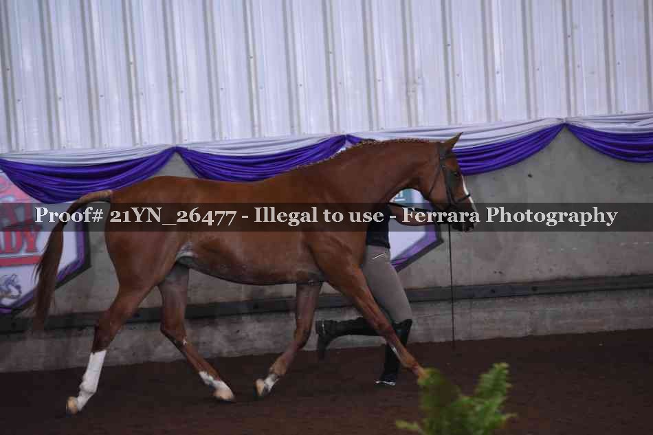Proof 21YN_26477