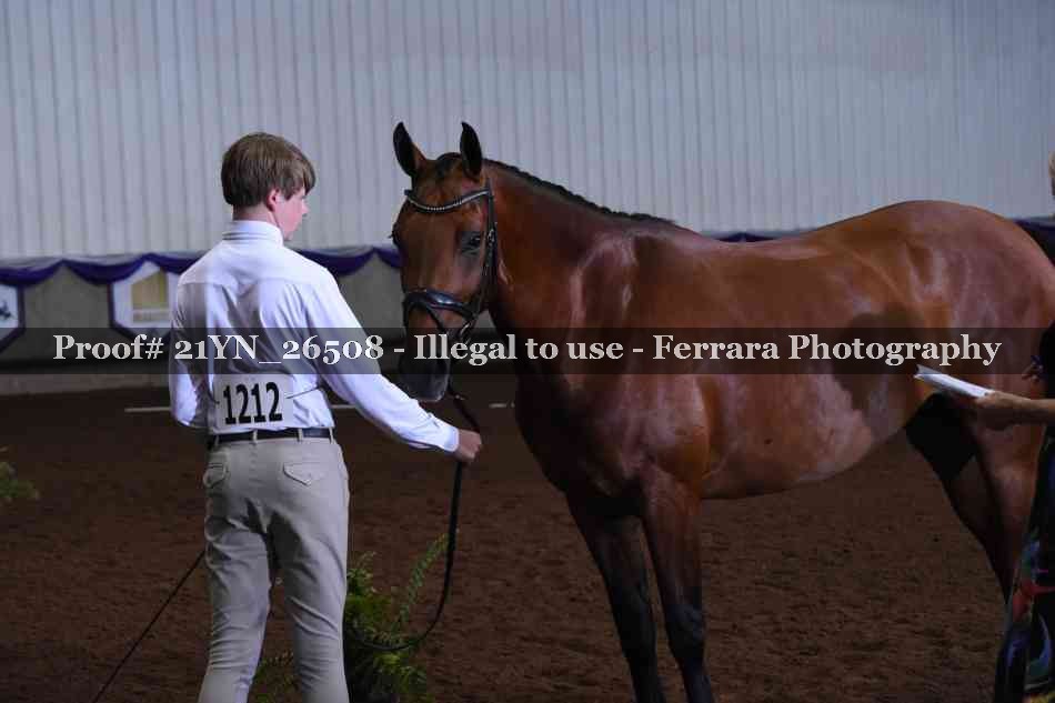 Proof 21YN_26508