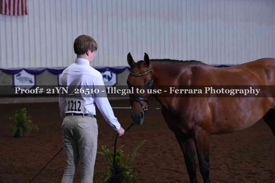 Proof 21YN_26510