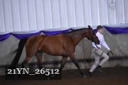 21YN_26512 proof