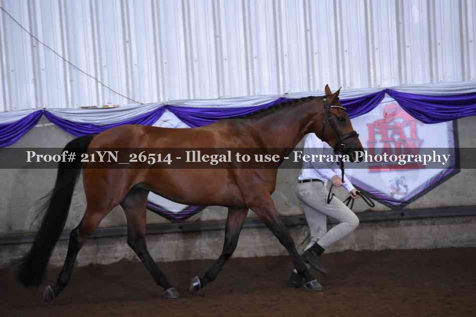 Proof 21YN_26514