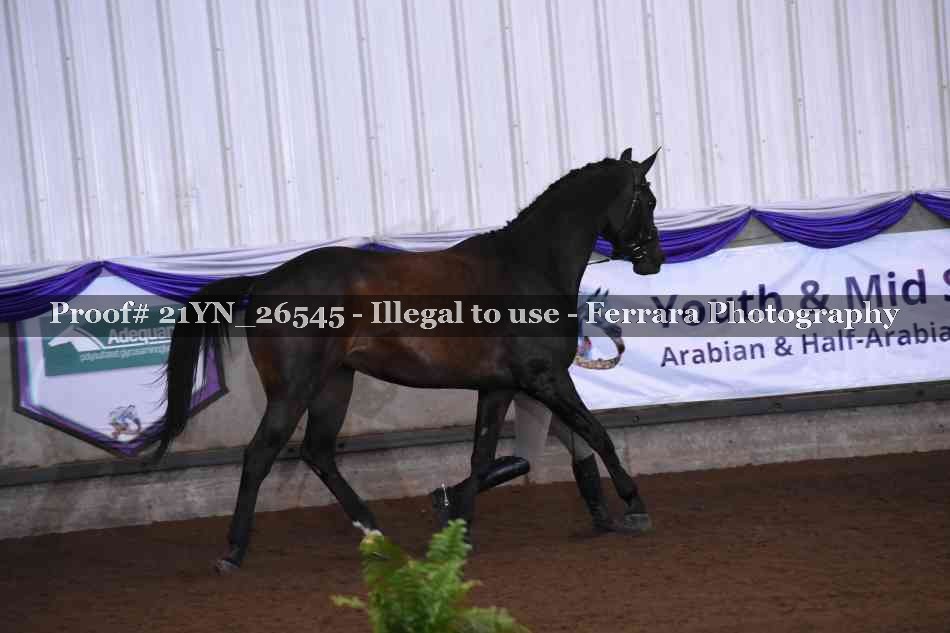 Proof 21YN_26545