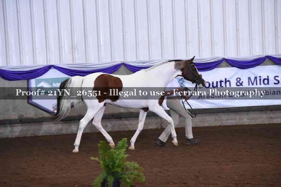 Proof 21YN_26551