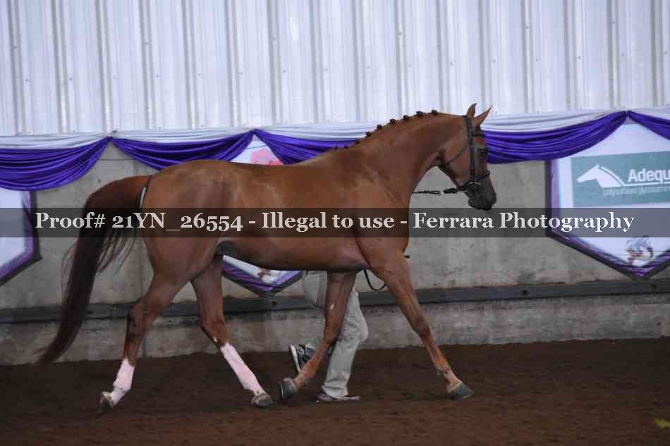 Proof 21YN_26554