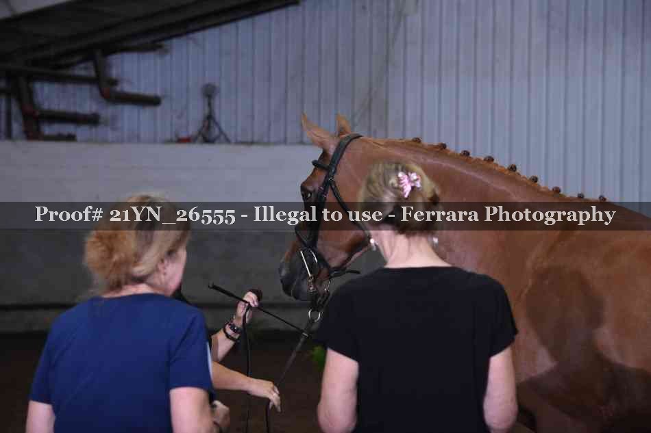 Proof 21YN_26555