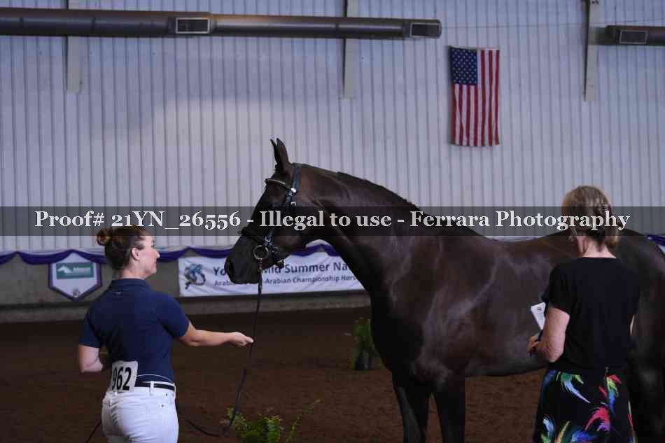 Proof 21YN_26556