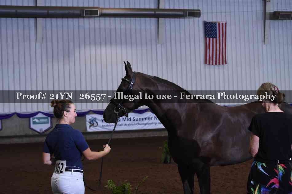 Proof 21YN_26557