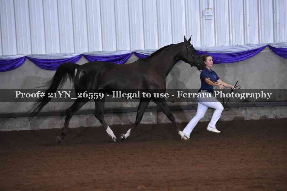 Proof 21YN_26559