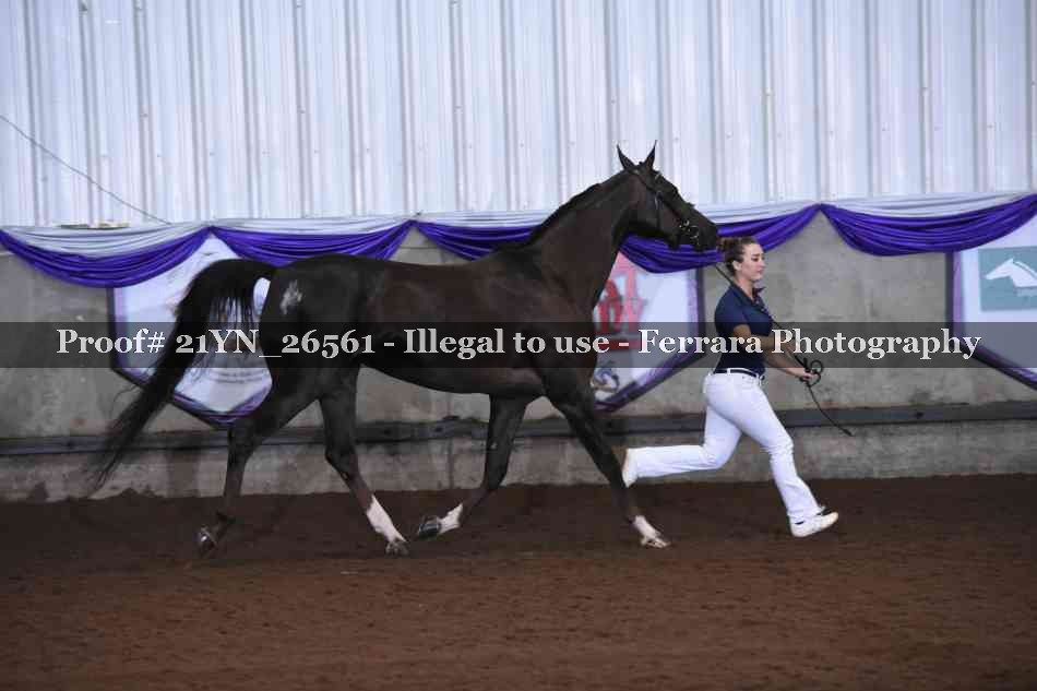 Proof 21YN_26561