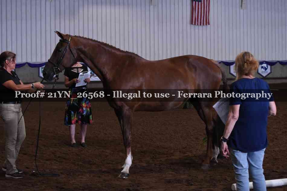 Proof 21YN_26568