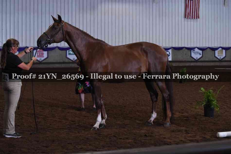 Proof 21YN_26569