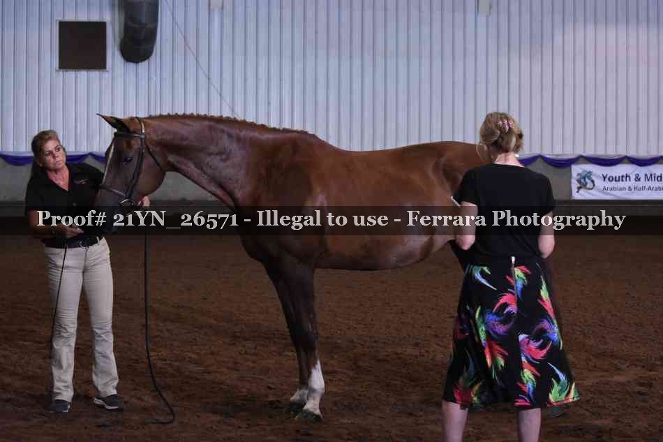 Proof 21YN_26571