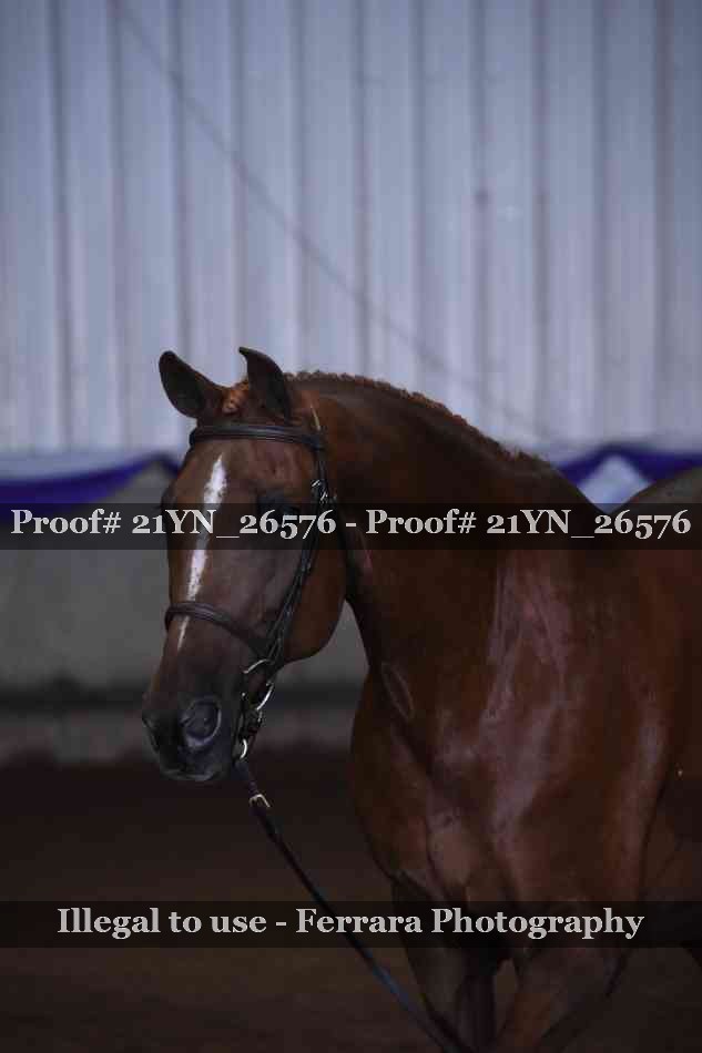 Proof 21YN_26576
