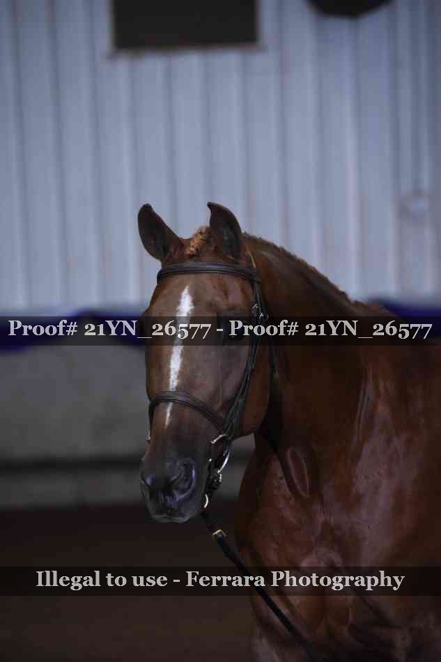 Proof 21YN_26577