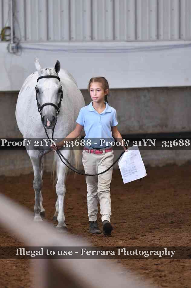 Proof 21YN_33688