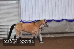 21YN_33731 proof