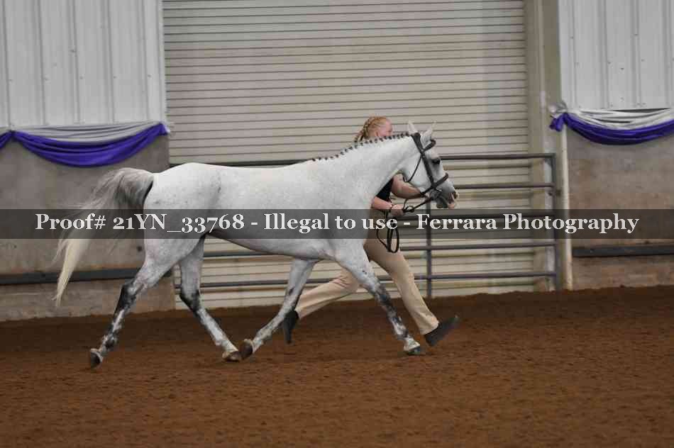 Proof 21YN_33768