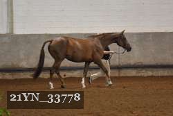 21YN_33778 proof