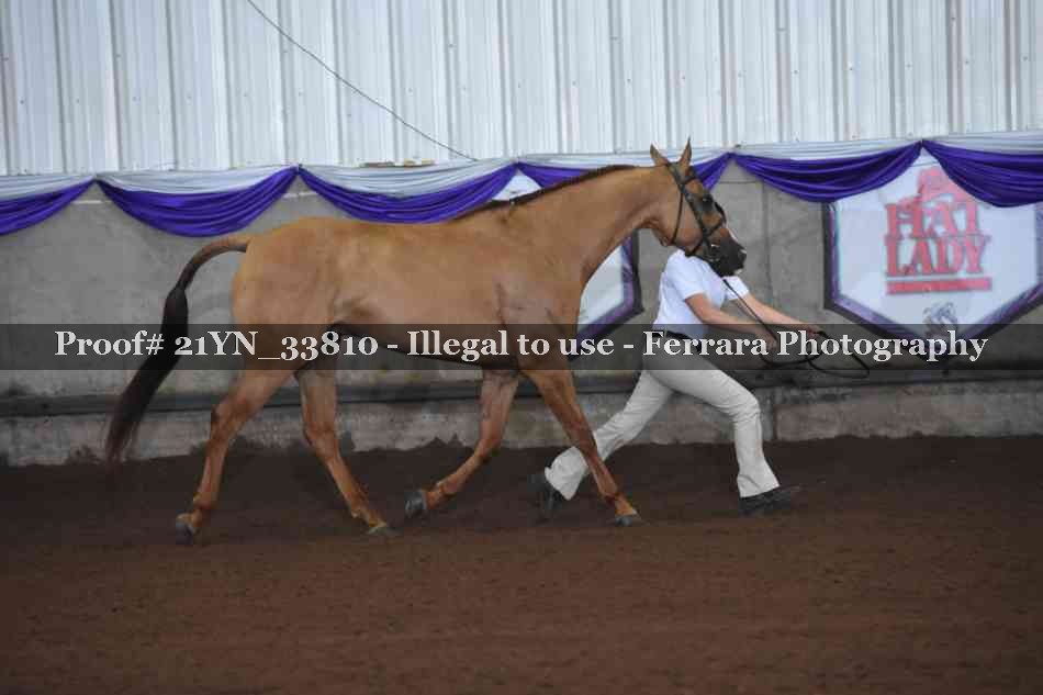 Proof 21YN_33810