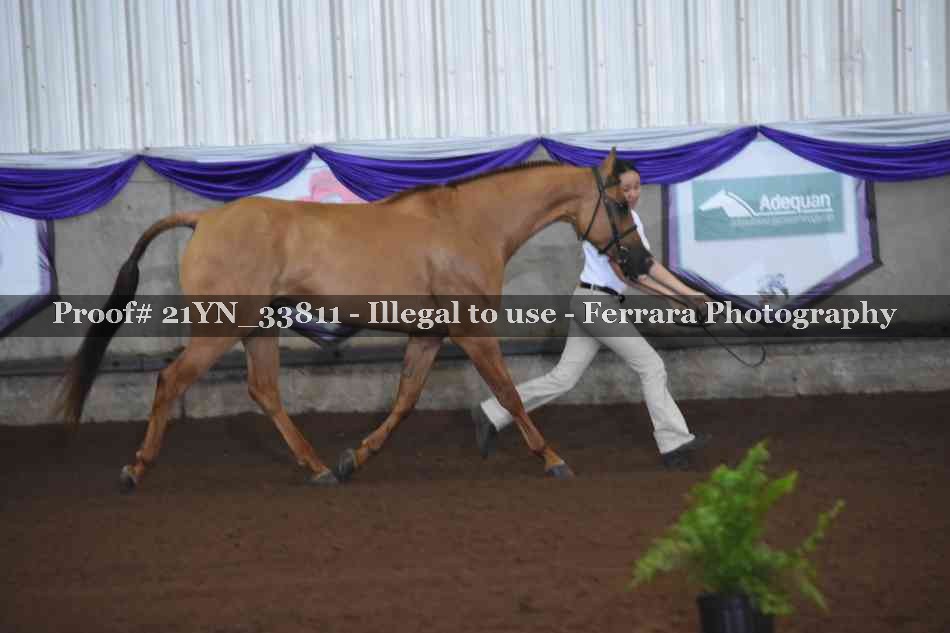 Proof 21YN_33811