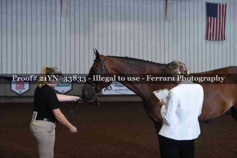 Proof 21YN_33833