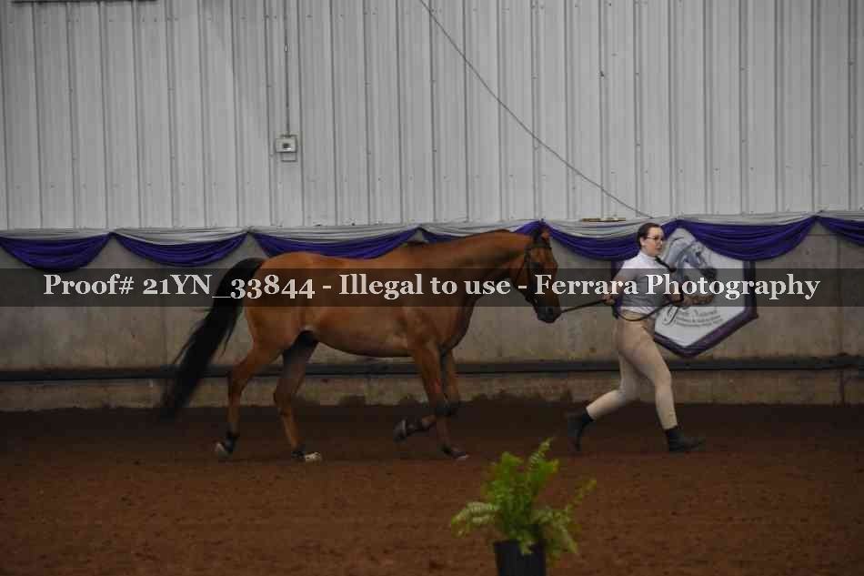Proof 21YN_33844
