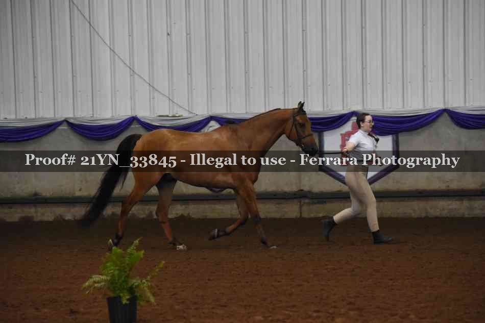 Proof 21YN_33845