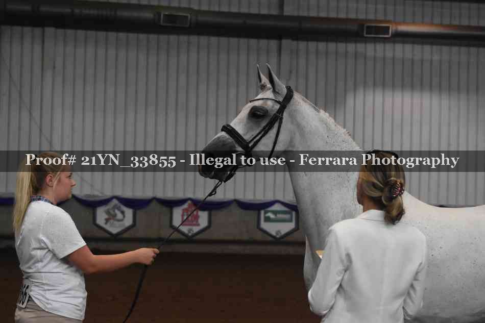 Proof 21YN_33855
