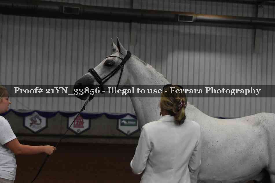 Proof 21YN_33856