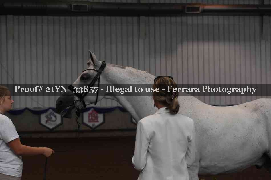 Proof 21YN_33857