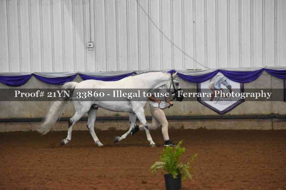 Proof 21YN_33860