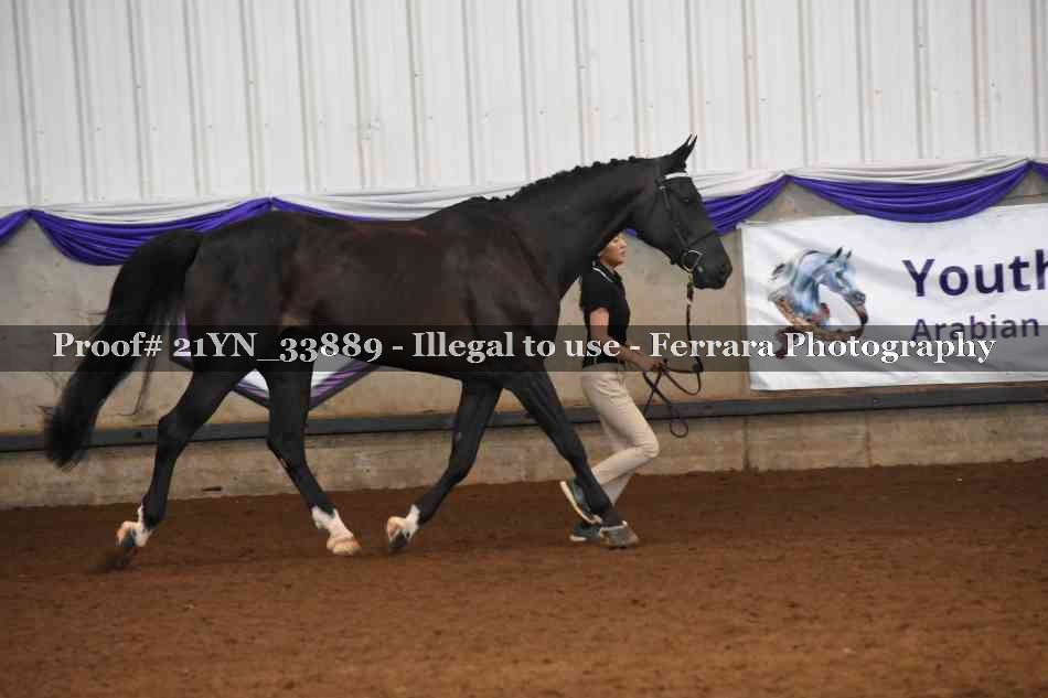 Proof 21YN_33889