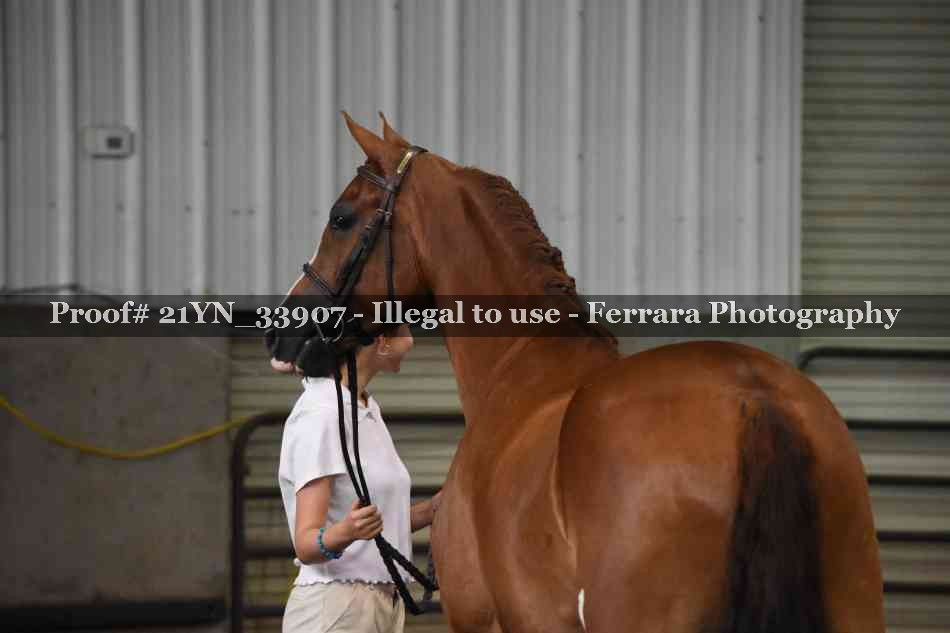 Proof 21YN_33907