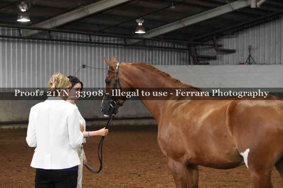 Proof 21YN_33908