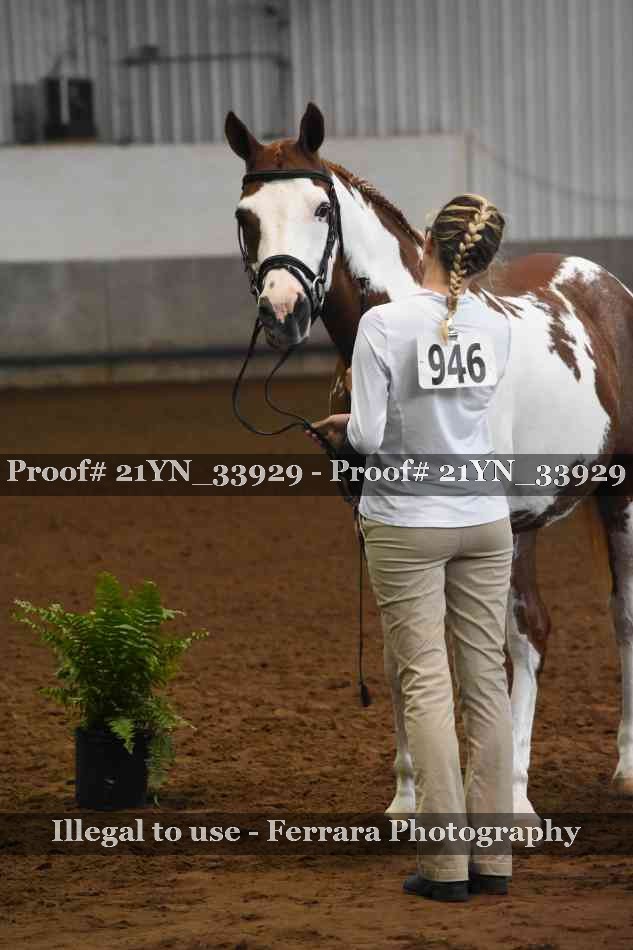 Proof 21YN_33929