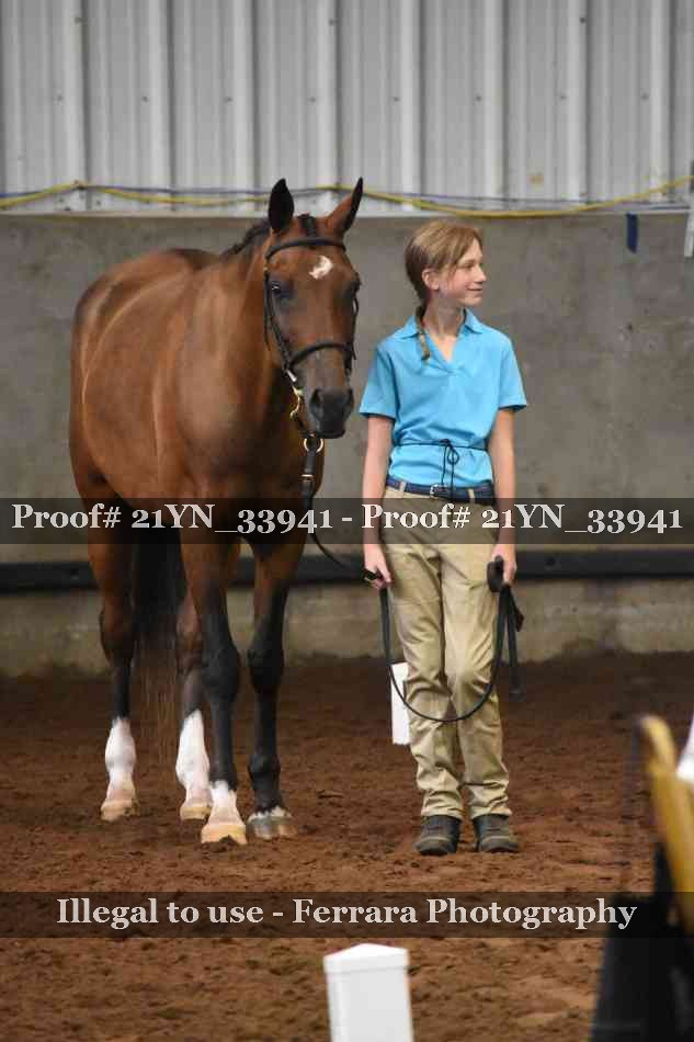 Proof 21YN_33941