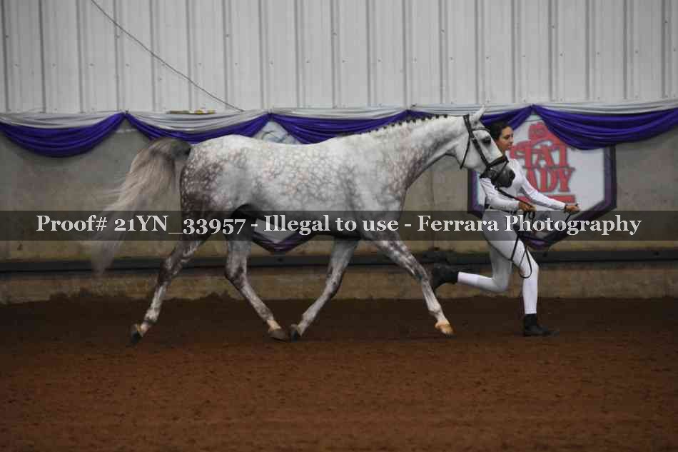 Proof 21YN_33957