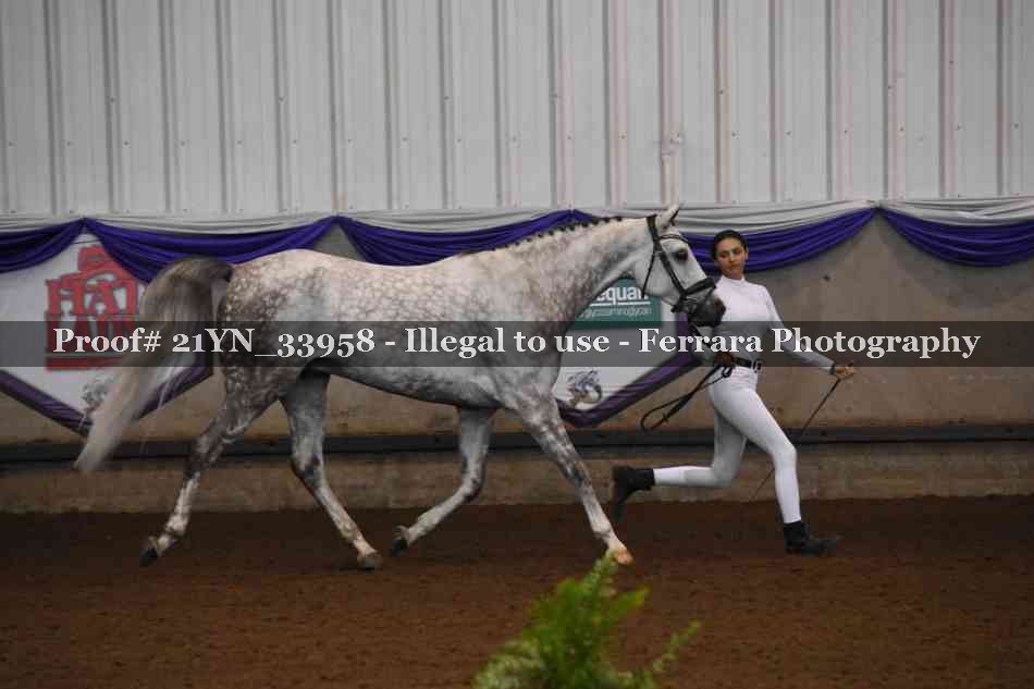 Proof 21YN_33958