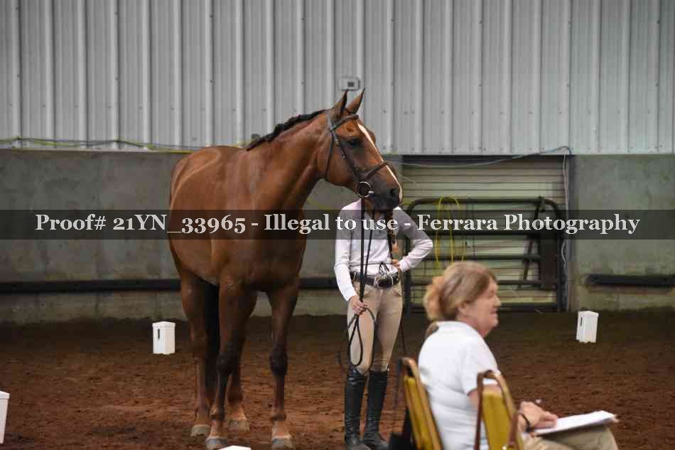 Proof 21YN_33965
