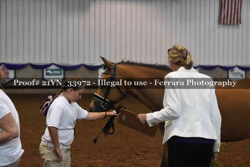 Proof 21YN_33972