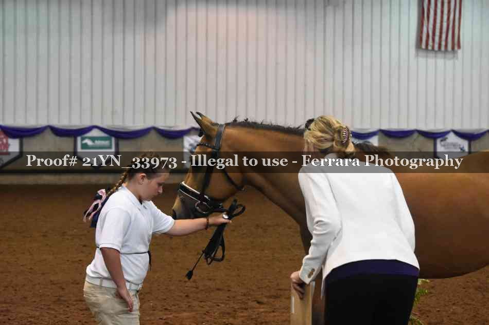 Proof 21YN_33973
