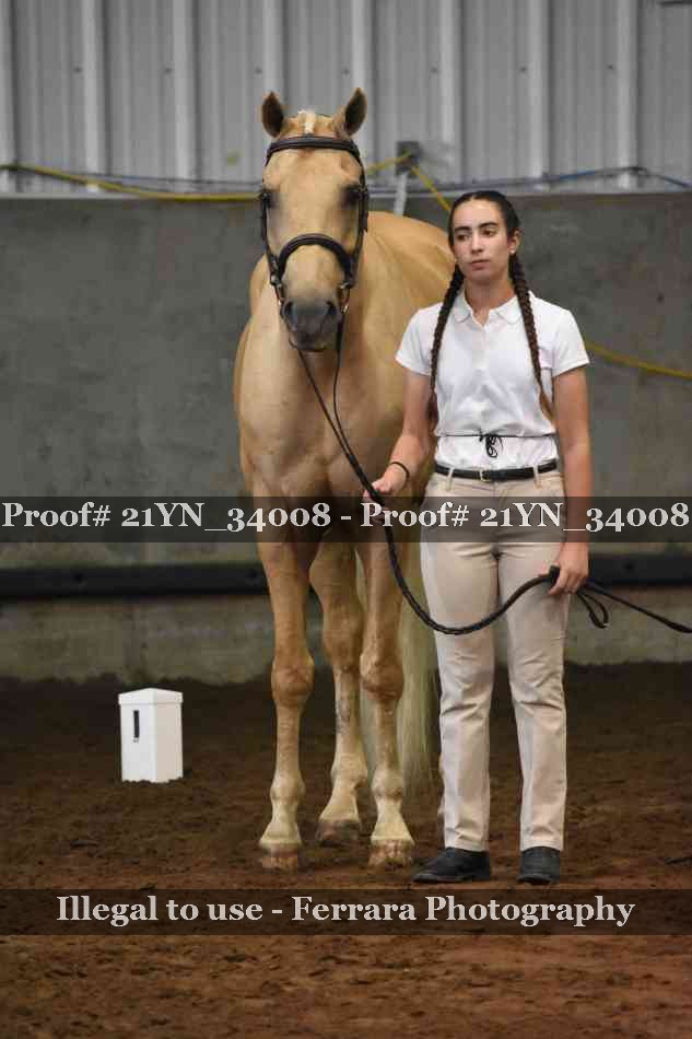 Proof 21YN_34008