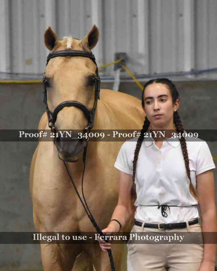 Proof 21YN_34009