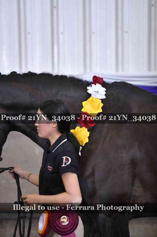 Proof 21YN_34038