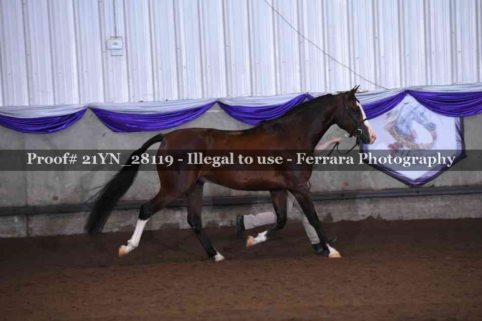 Proof 21YN_28119
