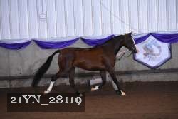 21YN_28119 proof