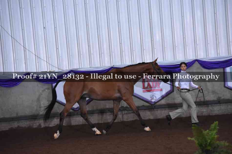 Proof 21YN_28132