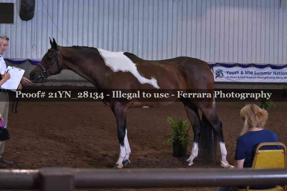 Proof 21YN_28134
