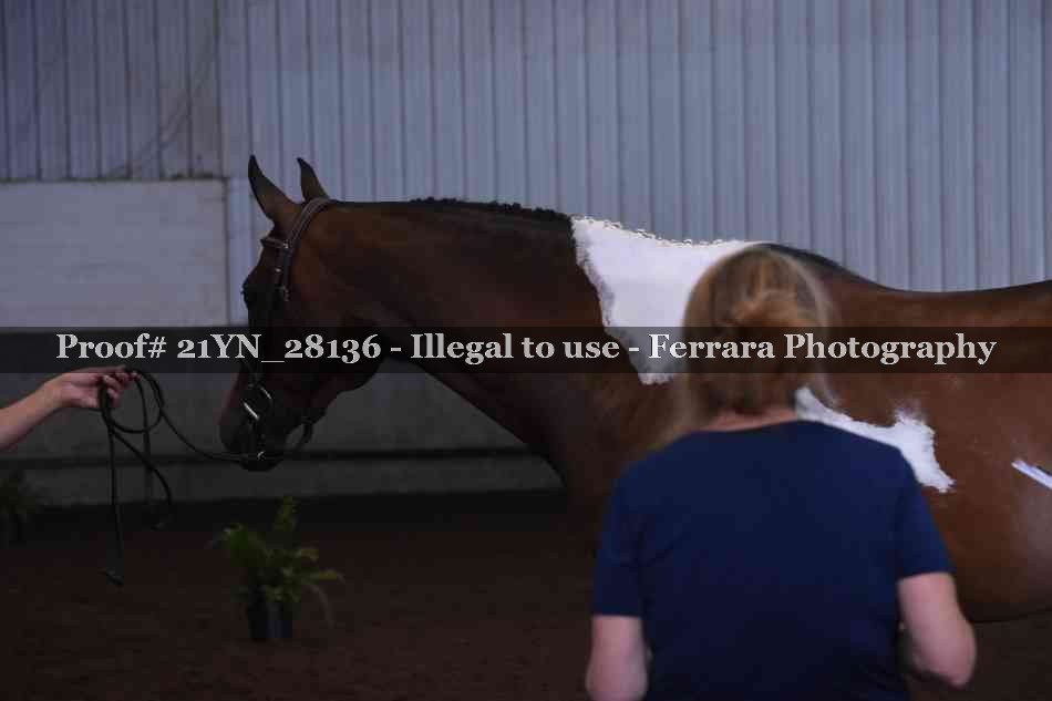 Proof 21YN_28136